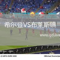 希尔登VS布莱斯镇
