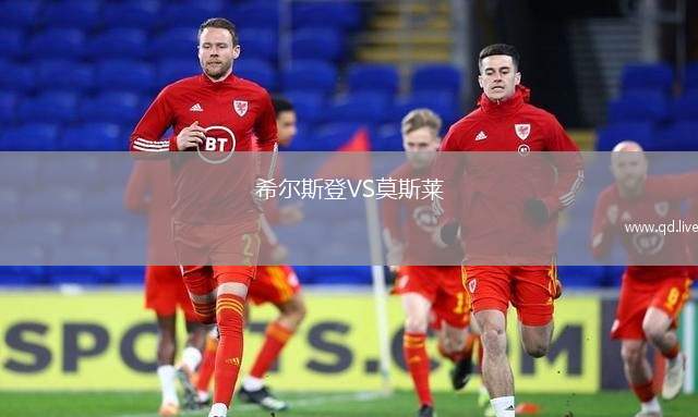 希尔斯登VS莫斯莱