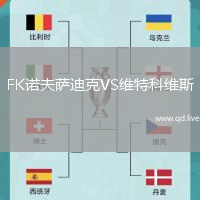 FK诺夫萨迪克VS维特科维斯