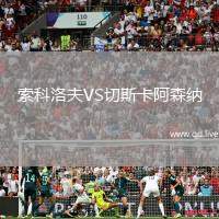 索科洛夫VS切斯卡阿森纳