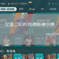 汉堡二队VS托德斯费尔德