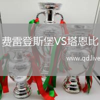 费雷登斯堡VS塔恩比