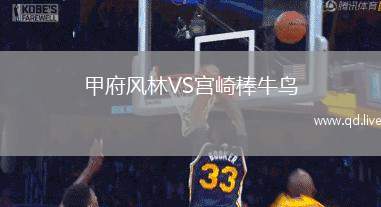 甲府风林VS宫崎棒牛鸟