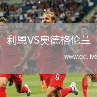 利恩VS奥德格伦兰