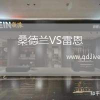 桑德兰VS雷恩