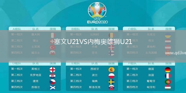 塞文U21VS内梅奥雄狮U21
