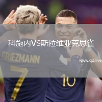科施内VS斯拉维亚克思雀