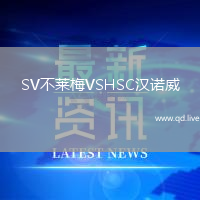 SV不莱梅VSHSC汉诺威