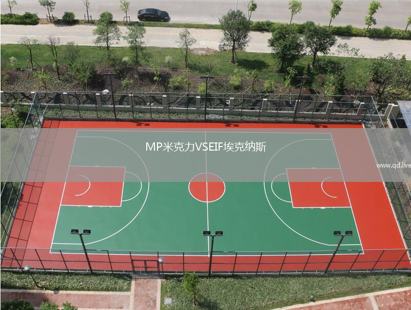 MP米克力VSEIF埃克纳斯
