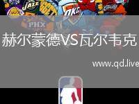 赫尔蒙德VS瓦尔韦克
