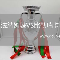 法纳姆城VS比勒瑞卡