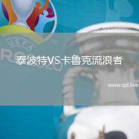 泰波特VS卡鲁克流浪者